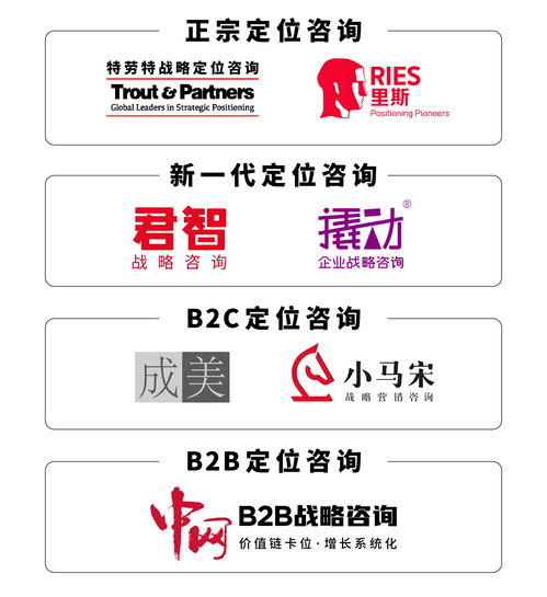 战略咨询与技术开发双轮驱动 解锁企业高效决策实战路径